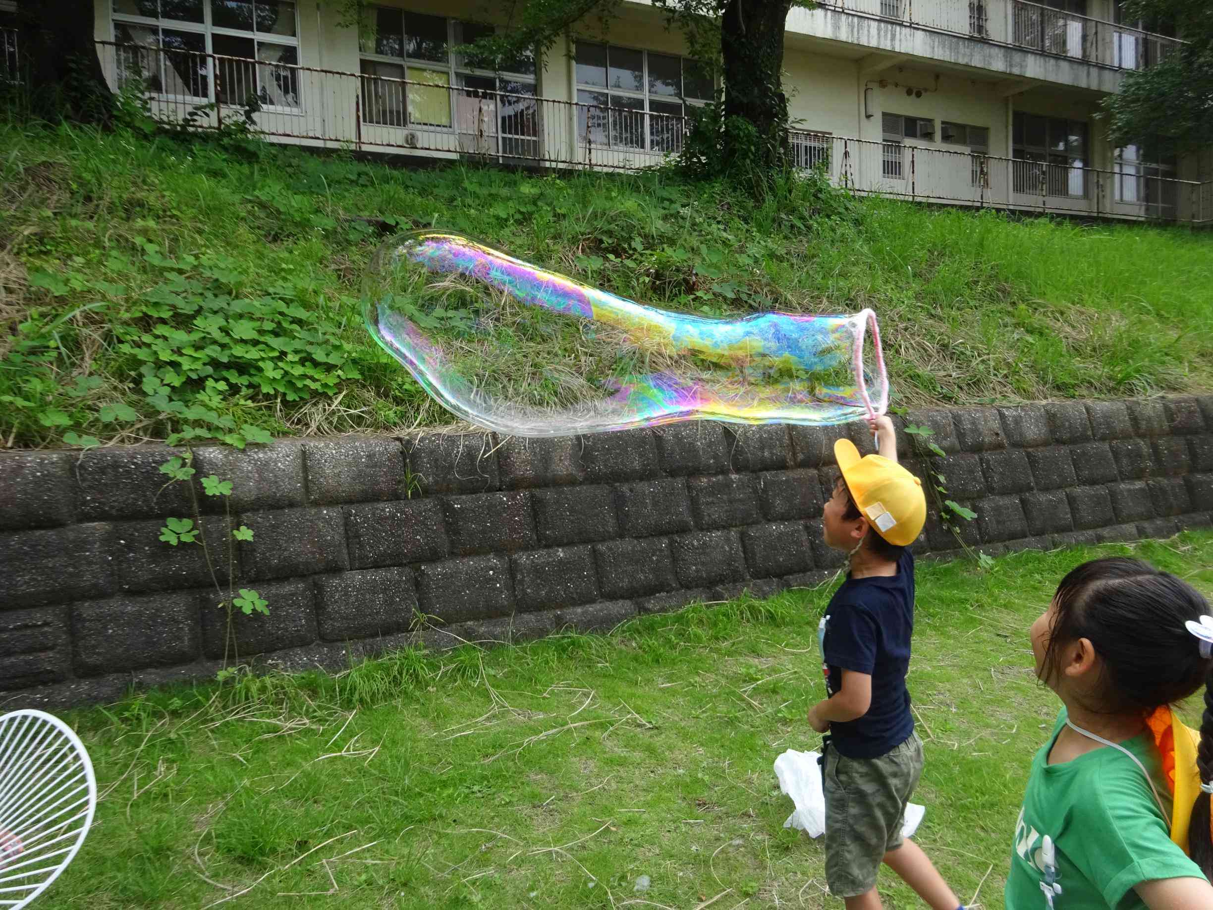 DSC03779