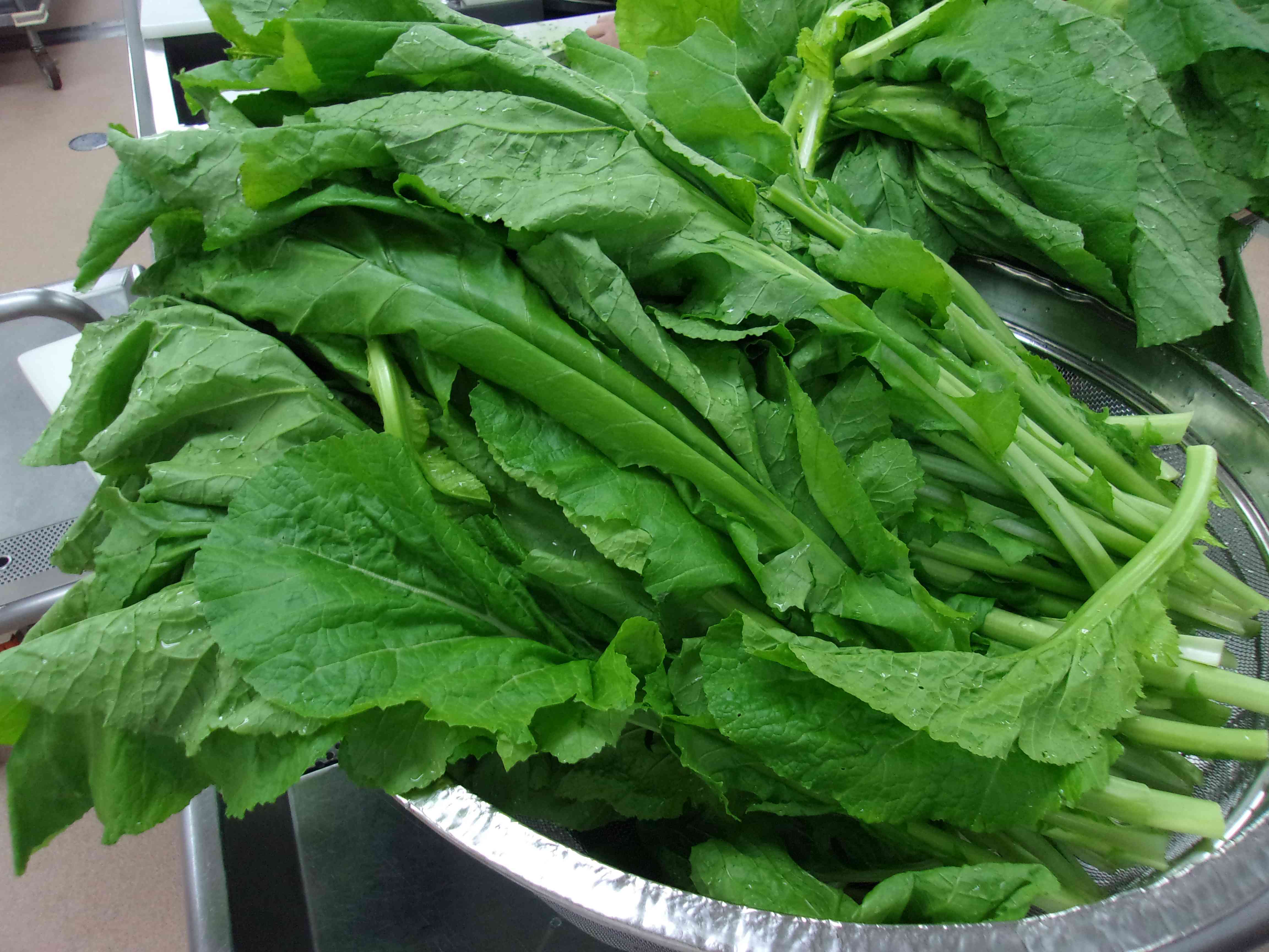 さがみグリーン